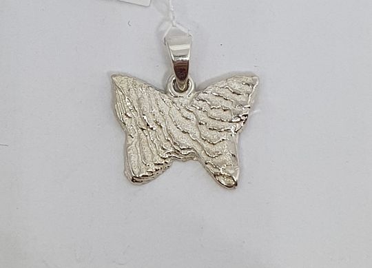 vlinder-zilver-82-1640261743.jpg